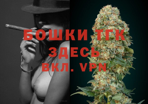 индика Вязьма